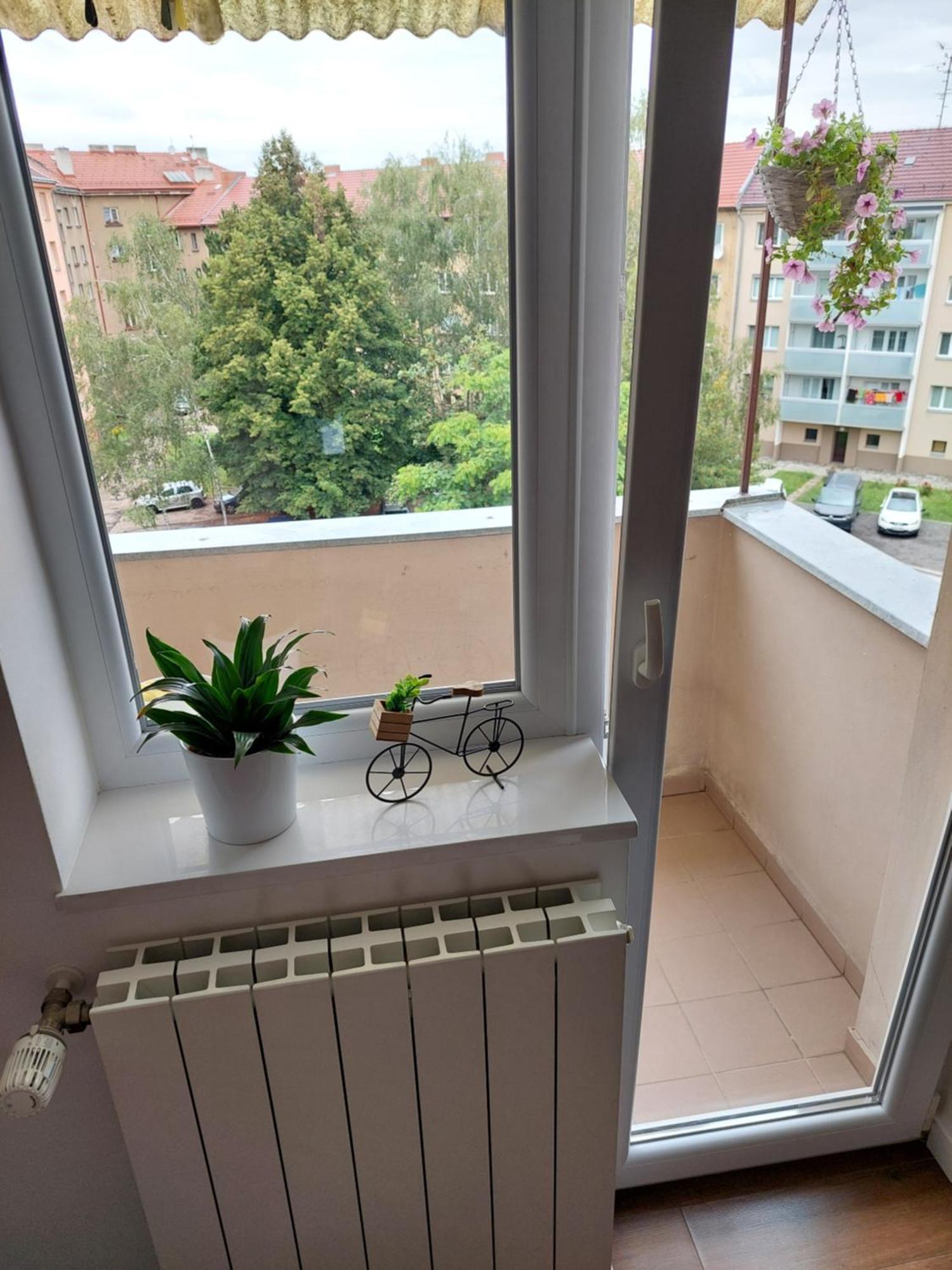 B&B Resslova Hradec Králové エクステリア 写真